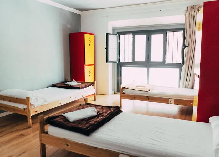 Black Swan Hostel